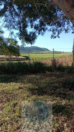 Imagem Fazenda Palmira 773 alqueires, a 60 km de Ribeirão Preto - SP, estrutura, cana e muita água - Serra Azul - SP - Brasil