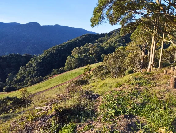 Imagem Legado e Exclusividade: Vinícola Particular no Alto da Boa Vista com 137.000 m² e Vista Panorâmica