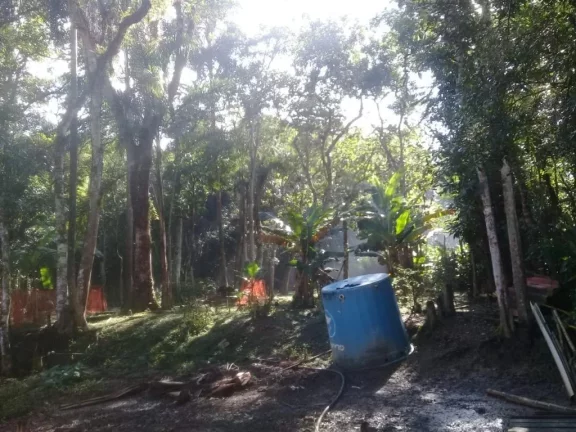 Imagem Chácara com 2 dormitórios à venda, 1374 m² por R$ 595.000,00 - Chácara Sete Cruzes - Suzano/SP