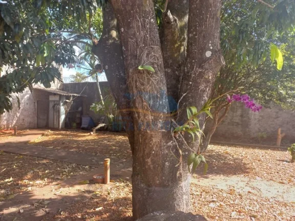 Imagem Chácara - Ribeirão Preto - Cândido Portinari - Região Leste