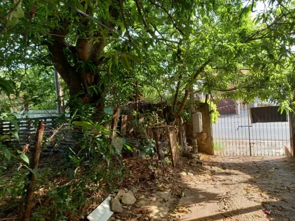 Imagem TERRENO PARA CONSTRUÇÕES DE PRÉDIOS