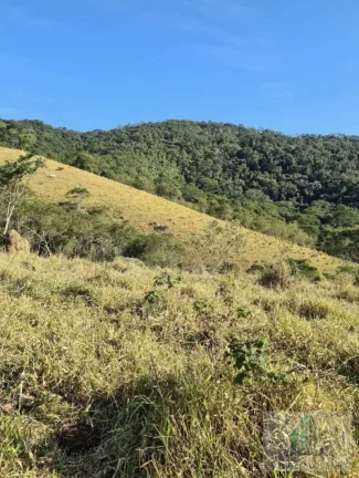 Imagem Sítio com 2 quartos, 14 Alqueires Paulista, à venda em Igarata SP