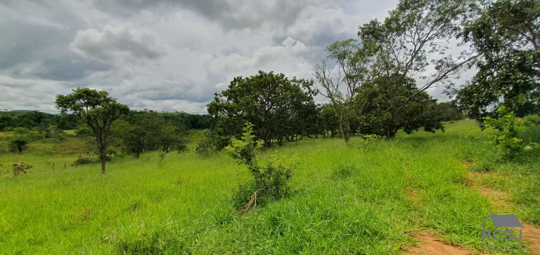 Imagem AREA RURAL em ESMERALDAS - MG, ANDIROBA