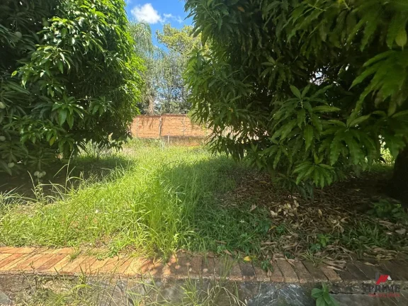 Imagem Lote próximo à Lagoa Central em Lagoa Santa !