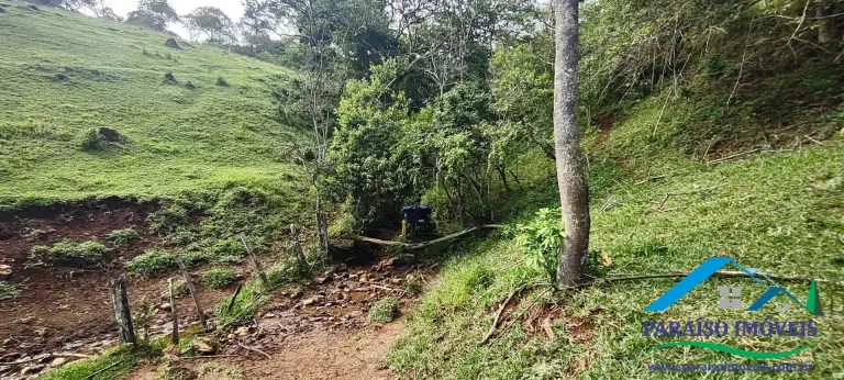 Imagem Refúgio Encantador: Sua Propriedade Rural de Sonho em Minas Gerais.