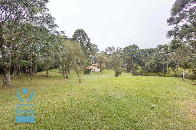 Imagem Belíssima Chácara com 3 dormitórios à venda, 6000 m² por R$ 1.400.000 - Salgadinho - Campo Largo/PR