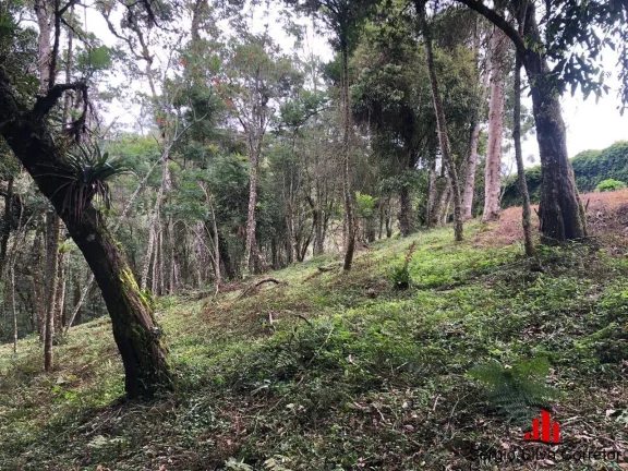 Imagem Terreno a Venda no Alto do Vila Inglesa por R$ 450.000,00.