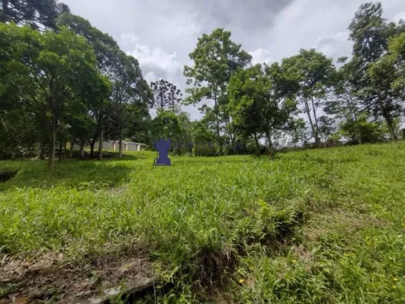 Imagem ÁREA RURAL COM 6.957,50M² EM BALSA NOVA
