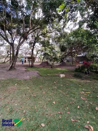 Imagem ÁREA EM ARRAIAL D'AJUDA