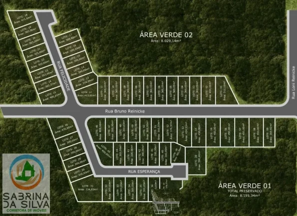 Imagem Lote/Terreno - Araponguinhas - Timbó