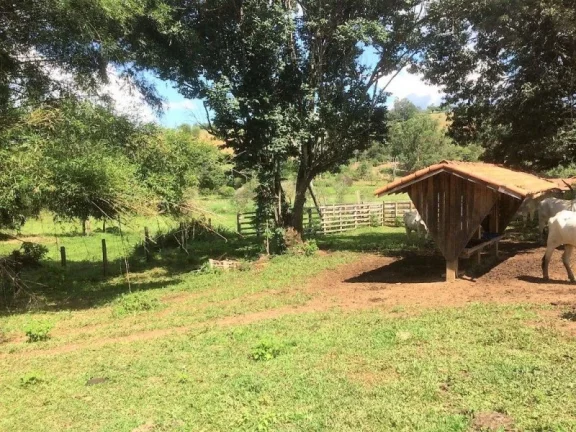 Imagem FAZENDA RURAL À VENDA, ROSETA, CAMBUÍ.