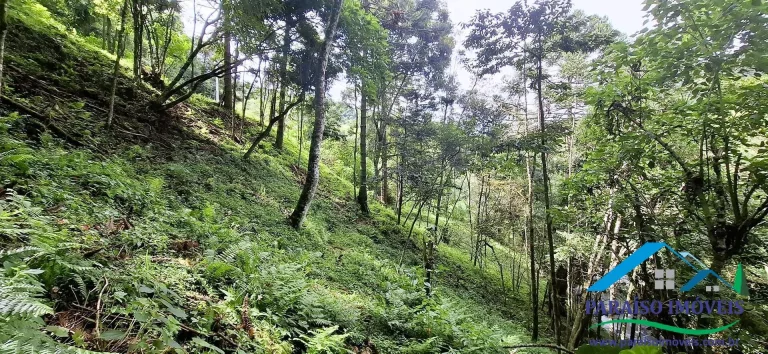 Imagem Mergulhe na Serenidade da Serra da Mantiqueira: Terreno com Cachoeira
