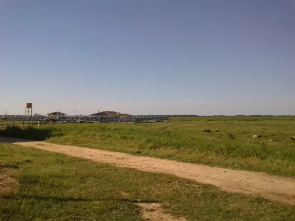 Imagem FAZENDA RURAL em LINHARES - ES, ÁREA RURAL DE LINHARES