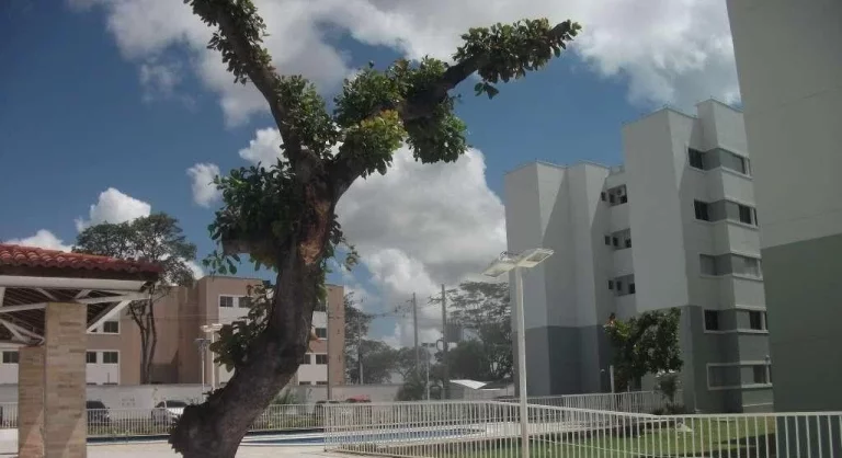 Imagem Apartamento pronto para morar, 3 dormitórios à venda por R$ 260.000,00 - Condomínio JARDINS RESIDENCE CLUB 1 - Novo Horizonte - Teresina/PI
