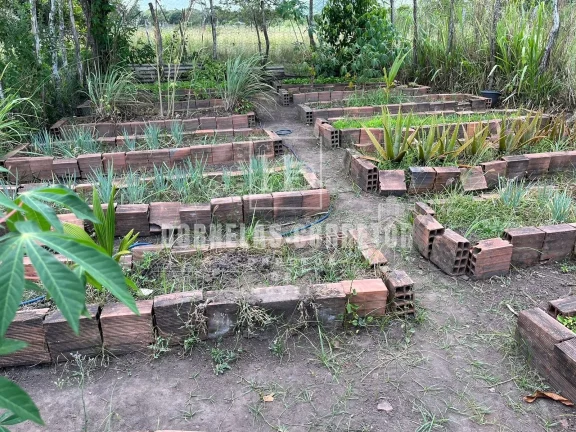 Imagem Fazenda Com 2 casas curral, açudes, poço, 7.500hc as margens da bar. tapacurá