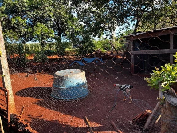 Imagem Chácara para Venda em São Jorge do Ivaí, Comunidade João XXIII, 3 dormitórios, 2 banheiros, 2 vagas