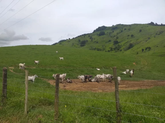 Imagem Fazenda à Venda, 1.930.000 m² em Centro - Trajano De Morais