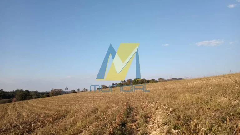 Imagem Investidores e compradores que buscam valorização e expansão patrimonial