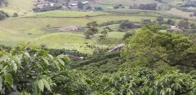Imagem Fazenda a venda