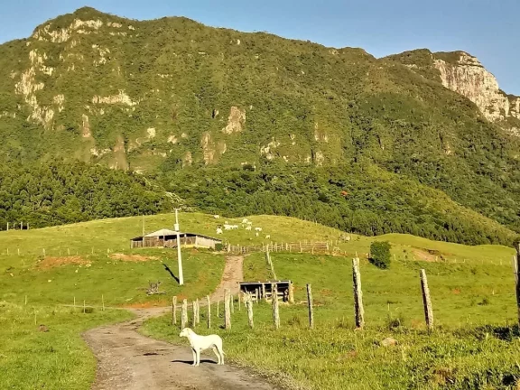 Imagem Sítio à Venda, Santa Rosa de Lima/SC