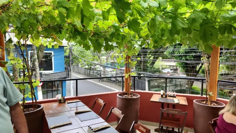 Imagem Bar e RestauranteBar noturno em Chácara Santo Antônio (zona Sul) - São Paulo