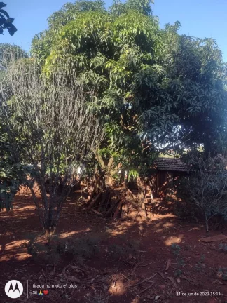 Imagem Chácara à Venda no Bairro dos Fragas - Tatuí