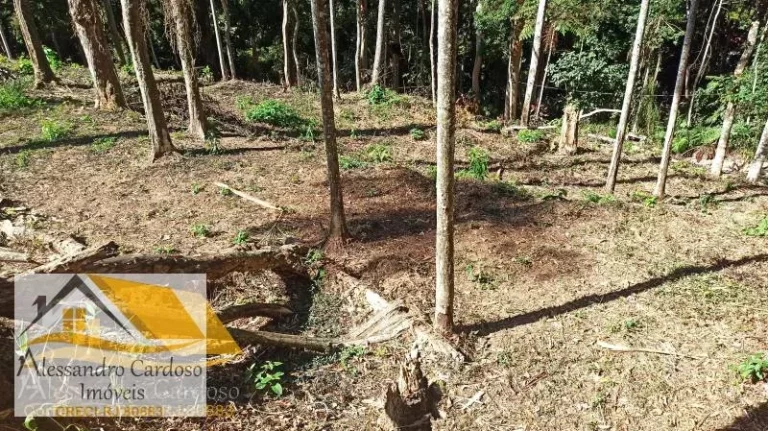 Vendo terreno de 2230 mts² no Paissandu