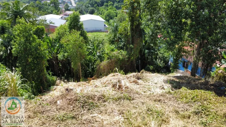 Imagem Lote/Terreno - Itoupavazinha - Blumenau