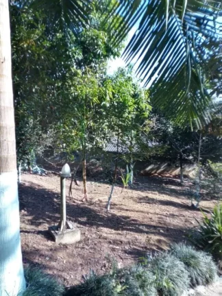 Imagem Chácara com 2 dormitórios à venda, 1470 m² por R$ 450.000,00 - Chácaras São Judas Tadeu - Suzano/SP
