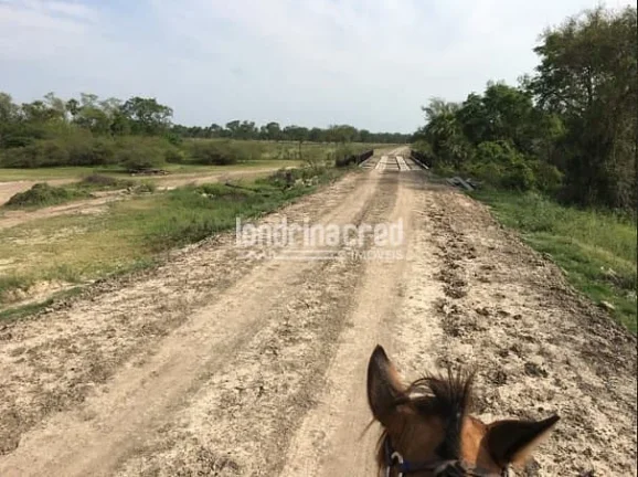 Imagem Fazenda San Justino no Chaco Paraguaio com valor de 900 dólares por hectare, totalizando 12.289 hectares.