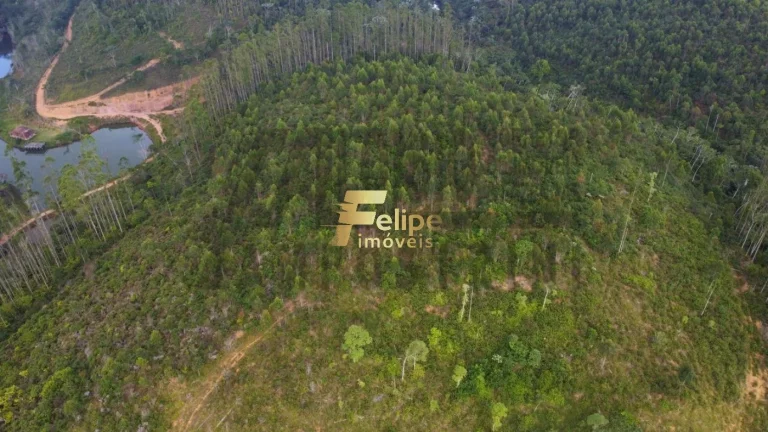 Imagem Vende-se uma incrível Fazenda de 80 alqueires, localizada a apenas 80 km de Colatina!