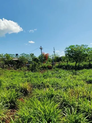 Imagem Chácara 30.000m² em São Miguel do Iguaçu/PR!