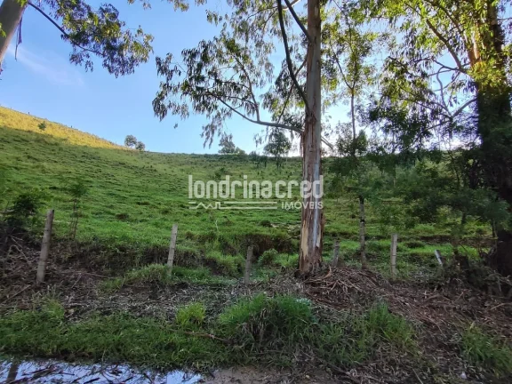Imagem Chácara à venda 744000M², Zona Rural, Castro - PR