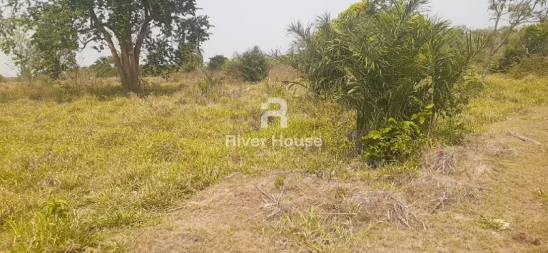 Imagem Charmoso sítio à venda em Olho d'Água, Municipio de Sto Antonio Leverger MT