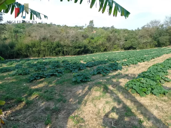 Imagem Terreno à venda no bairro Santuário Nossa Senhora de Fátima - Tatuí/SP