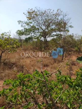 Imagem Fazenda à venda na Área Rural de Rio Verde-GO