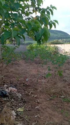 EXCELENTE OPORTUNIDADE TERRENO Á VENDA EM CAPETINGA/MG