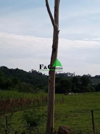 Imagem Terreno para Venda em Rio Claro, Área Rural de Rio Claro
