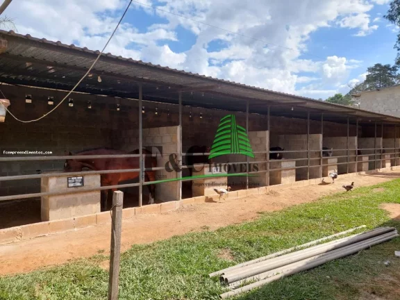 Imagem Sítio para Venda em Santo Antônio de Posse, Barreiro, 5 dormitórios, 1 suíte, 3 banheiros, 70 vagas