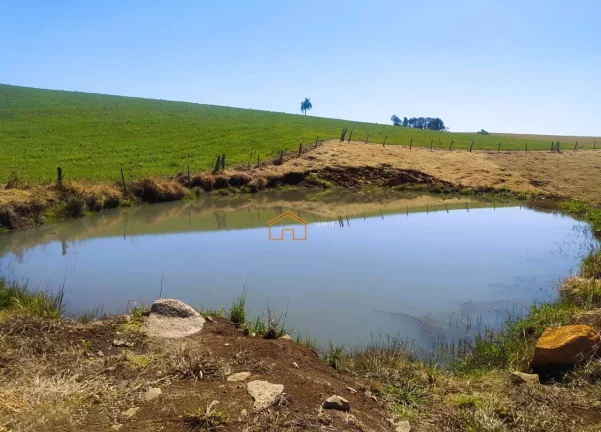 Imagem SITIO RURAL em PITANGA - PR, Rural