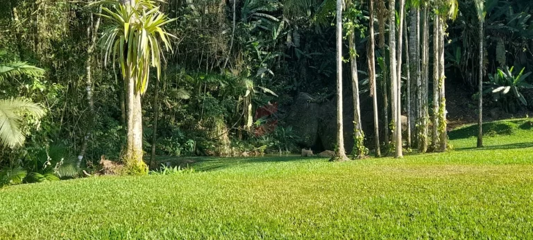 Imagem ÁREA à venda com 411400m² por R$ 2.400.000,00 no bairro Centro - MORRETES / PR