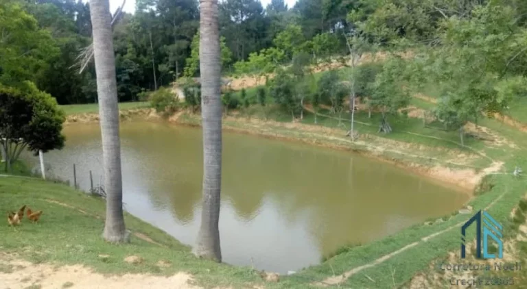 Imagem Chácara poucos metros da BR 116, 04 tanques de peixes, 03 casas, nascentes, Areia Branca dos Assis - Mandirituba PR