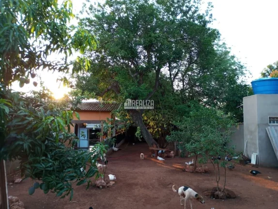 Imagem Casa à venda na Vila Elza, Aramina: 3 dormitórios e suíte!