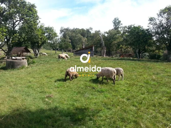 Imagem Chácara 2 dormitórios à venda Zona rural Santa Maria/RS
