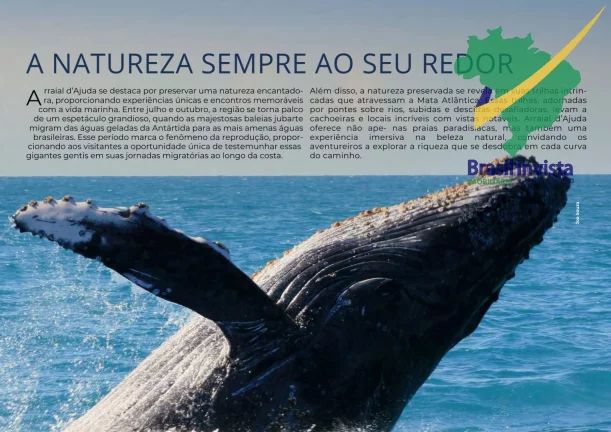 Imagem VILLA BOUTIQUE