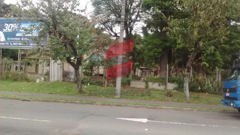 Imagem   