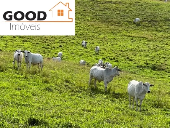 Imagem FAZENDA RURAL em ARARUAMA - RJ, São Vicente