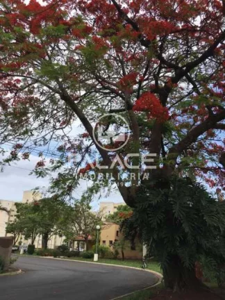 Imagem Excelente apartamento com sala com rack, 2 quartos com armários, banheiro com gabinete e box blinde...