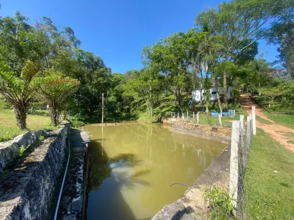 Imagem Chácara à venda, 24000 m² por R$ 1.060.000,00 - Jardim Ana Rosa (Palmeiras) - Suzano/SP