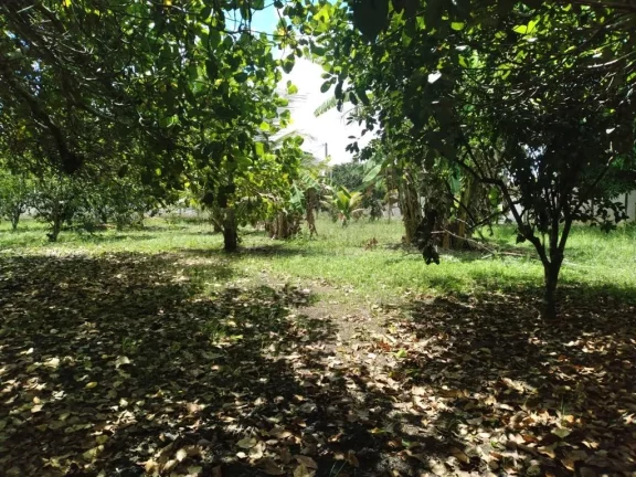 Imagem Terreno de 2.800m² à venda, localizado em Chã de Onça, Paudalho - Pernambuco.